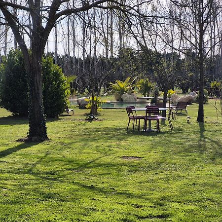 Le Mas Des Cerisiers Jacuzzi Et Sauna Inclus Pour Tous Les Logements Avignon Exterior photo