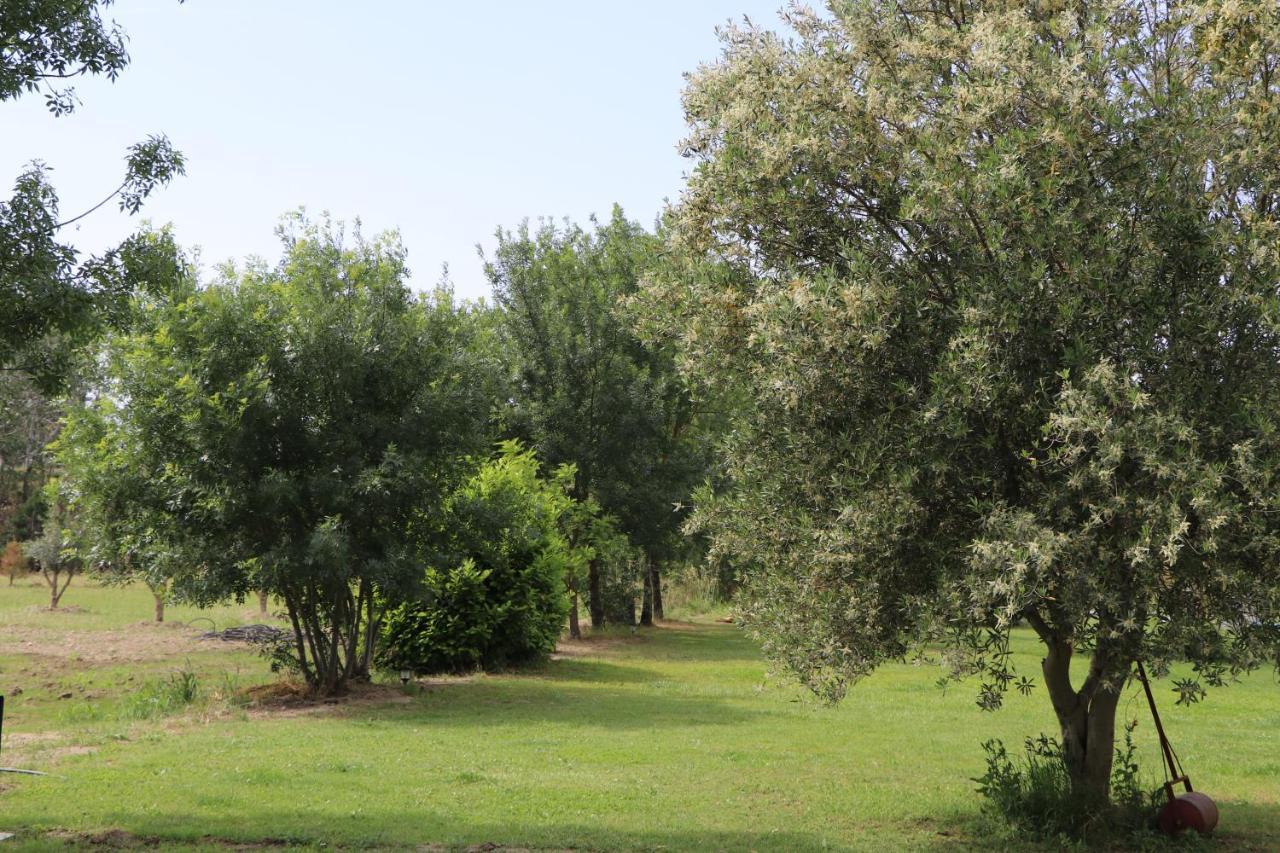 Le Mas Des Cerisiers Jacuzzi Et Sauna Inclus Pour Tous Les Logements Avignon Exterior photo