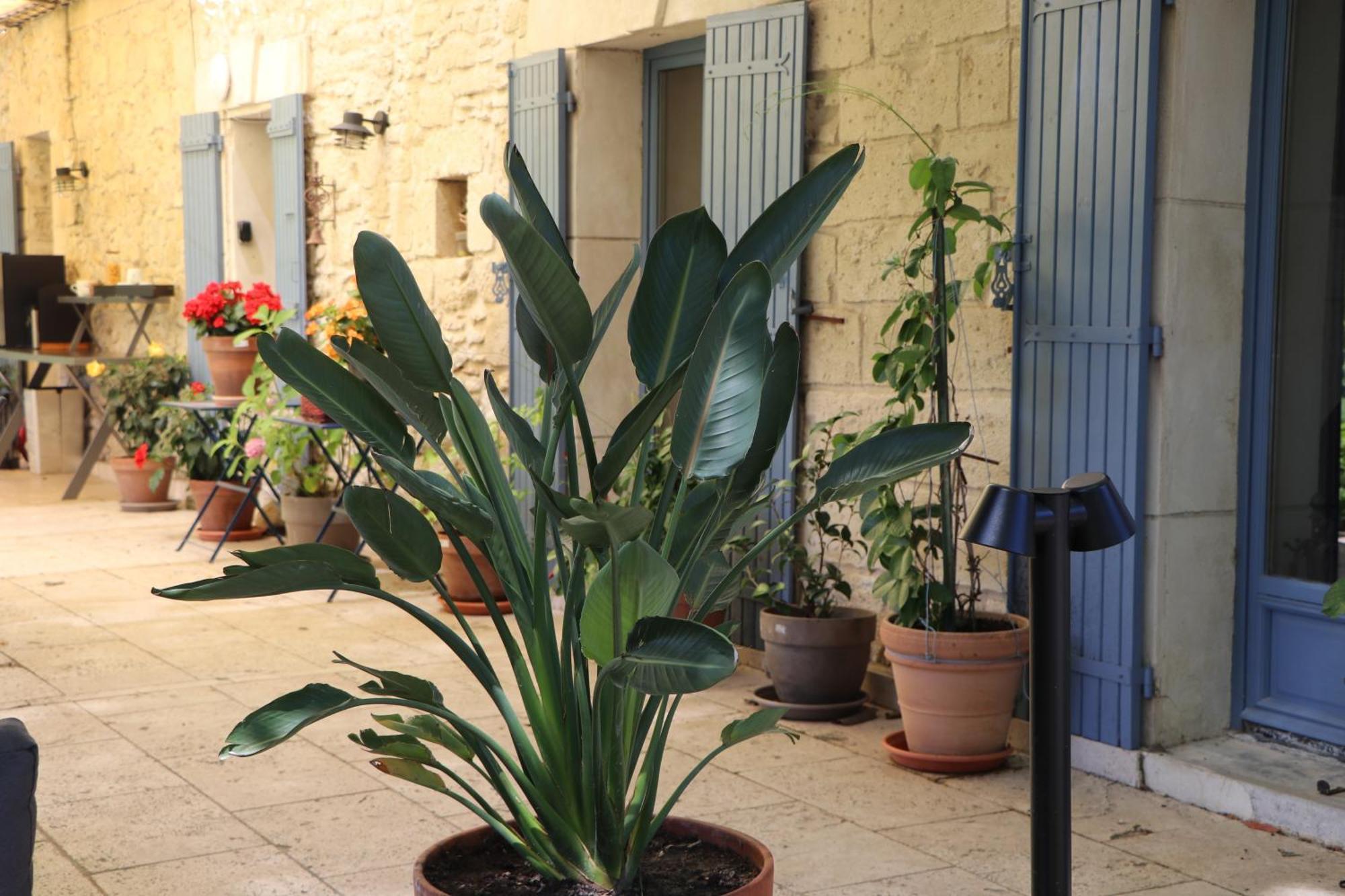 Le Mas Des Cerisiers Jacuzzi Et Sauna Inclus Pour Tous Les Logements Avignon Exterior photo