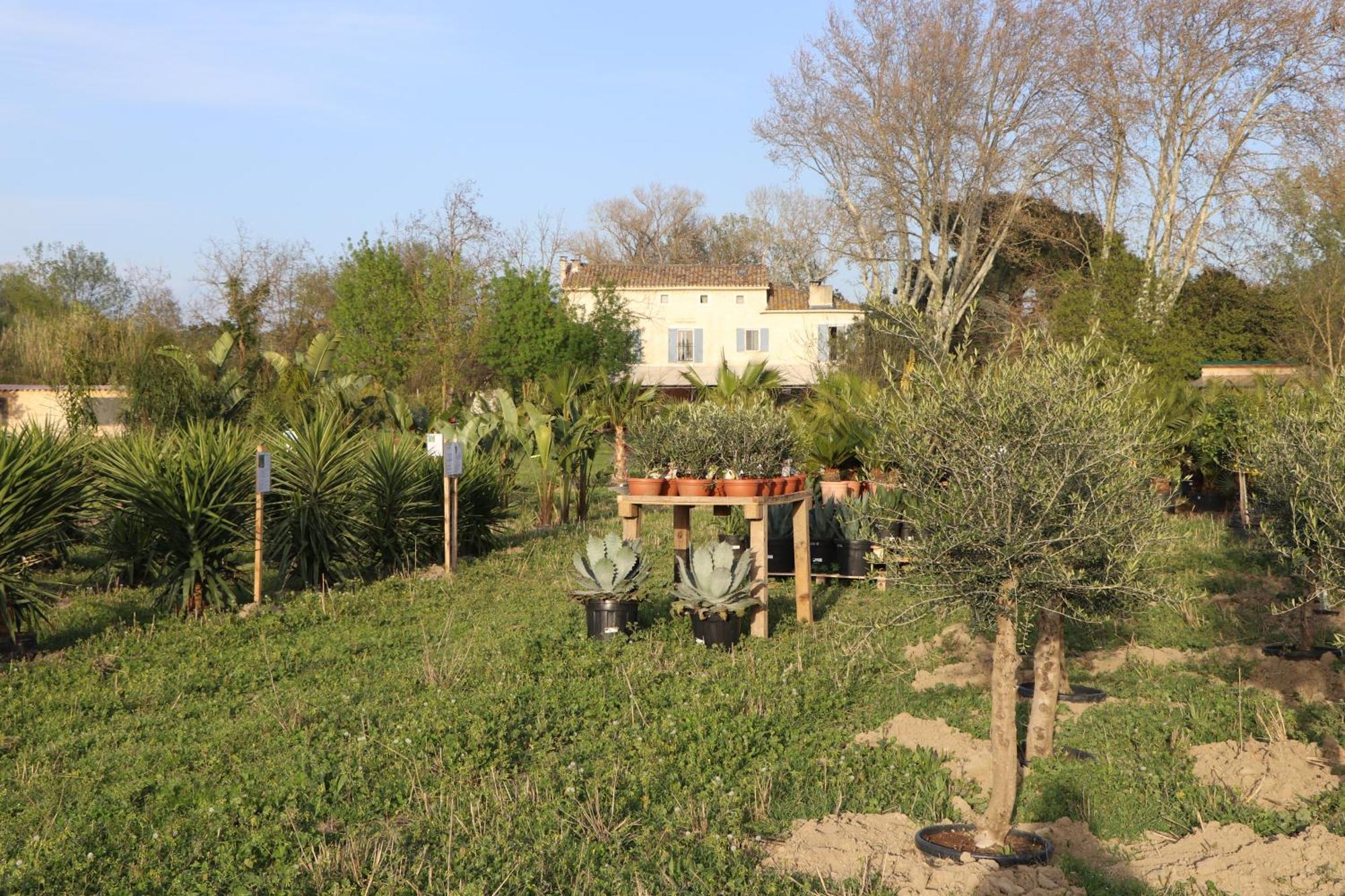 Le Mas Des Cerisiers Jacuzzi Et Sauna Inclus Pour Tous Les Logements Avignon Exterior photo
